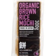 brown-rice-mochi