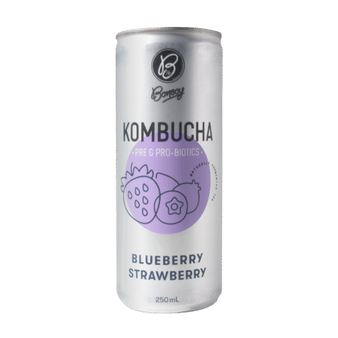 Bonsoy Blueberry Strawberry Kombucha