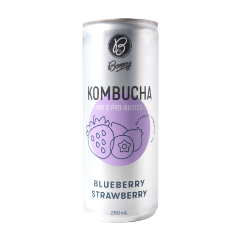 Bonsoy Blueberry Strawberry Kombucha