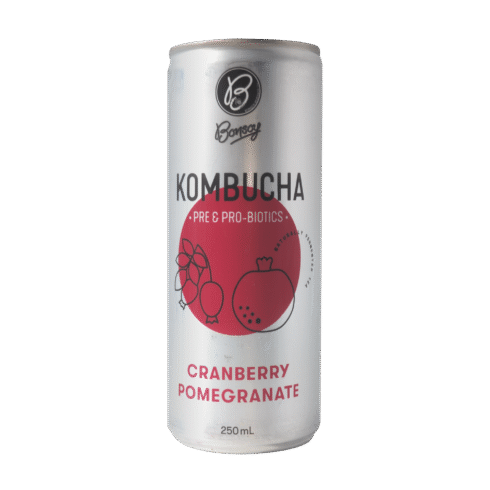 Bonsoy Cranberry Pomegranate Kombucha