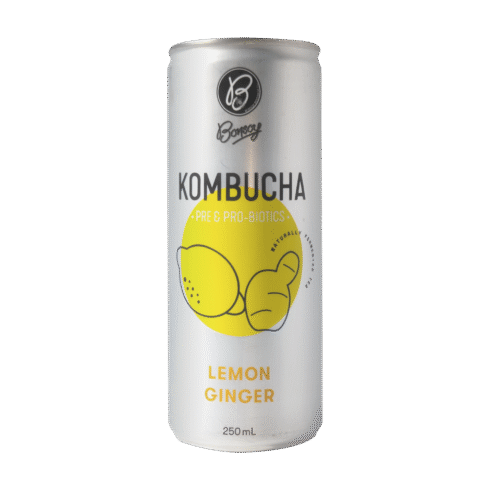 Bonsoy Lemon and Ginger Kombucha
